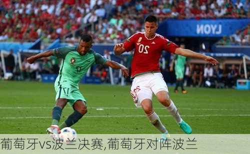 葡萄牙vs波兰决赛,葡萄牙对阵波兰
