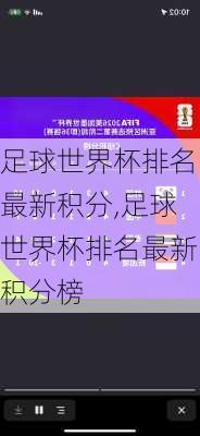 足球世界杯排名最新积分,足球世界杯排名最新积分榜