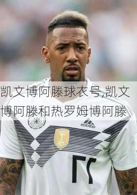 凯文博阿滕球衣号,凯文博阿滕和热罗姆博阿滕