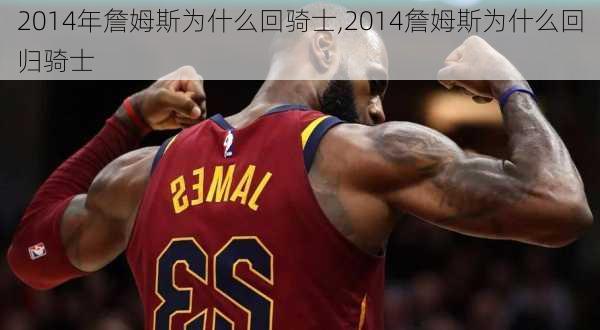 2014年詹姆斯为什么回骑士,2014詹姆斯为什么回归骑士