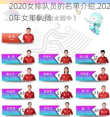 2020女排队员的名单介绍,2020年女排队员