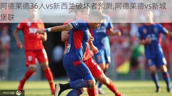 阿德莱德36人vs新西兰破坏者预测,阿德莱德vs新城堡联