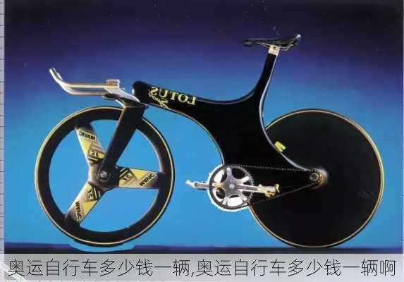 奥运自行车多少钱一辆,奥运自行车多少钱一辆啊