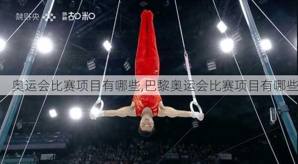 奥运会比赛项目有哪些,巴黎奥运会比赛项目有哪些