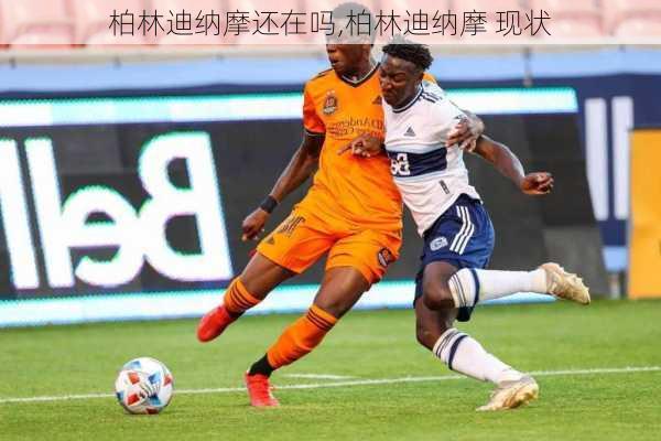 柏林迪纳摩还在吗,柏林迪纳摩 现状