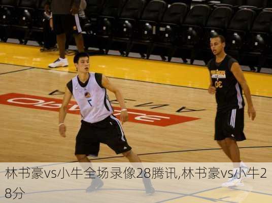 林书豪vs小牛全场录像28腾讯,林书豪vs小牛28分