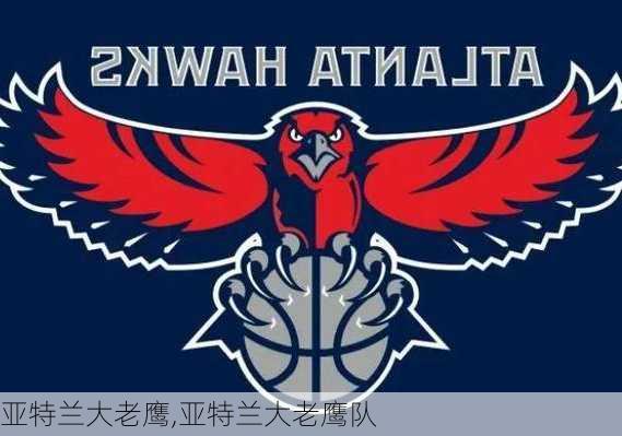 亚特兰大老鹰,亚特兰大老鹰队