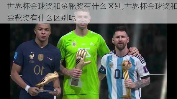 世界杯金球奖和金靴奖有什么区别,世界杯金球奖和金靴奖有什么区别呢