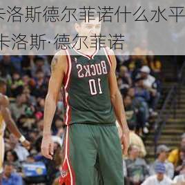 卡洛斯德尔菲诺什么水平,卡洛斯·德尔菲诺