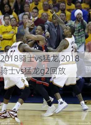 2018骑士vs猛龙,2018骑士vs猛龙g2回放
