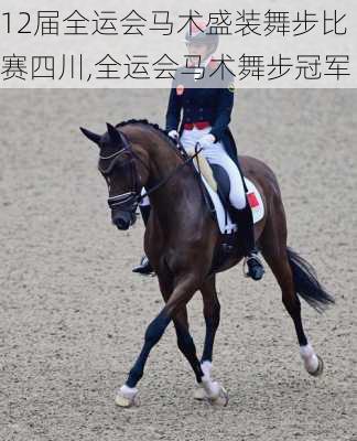 12届全运会马术盛装舞步比赛四川,全运会马术舞步冠军