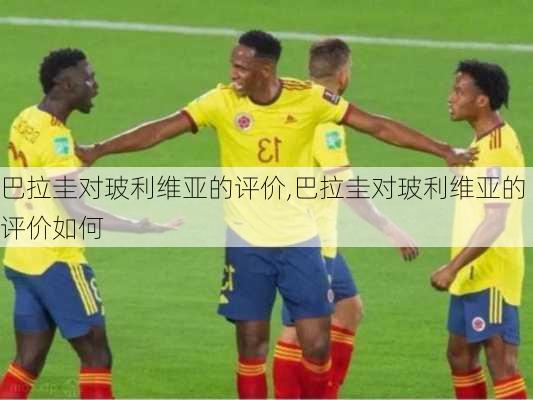 巴拉圭对玻利维亚的评价,巴拉圭对玻利维亚的评价如何