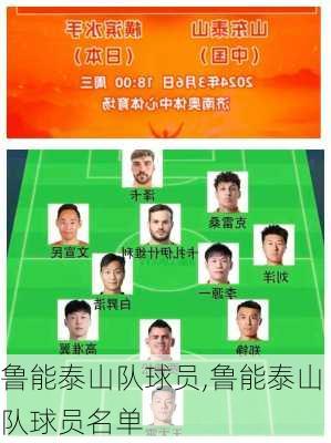 鲁能泰山队球员,鲁能泰山队球员名单