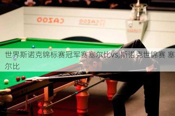 世界斯诺克锦标赛冠军赛塞尔比vs,斯诺克世锦赛 塞尔比