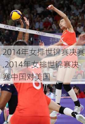 2014年女排世锦赛决赛,2014年女排世锦赛决赛中国对美国
