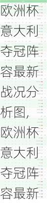欧洲杯意大利夺冠阵容最新战况分析图,欧洲杯意大利夺冠阵容最新战况分析图片