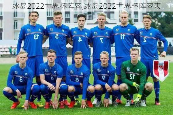 冰岛2022世界杯阵容,冰岛2022世界杯阵容表