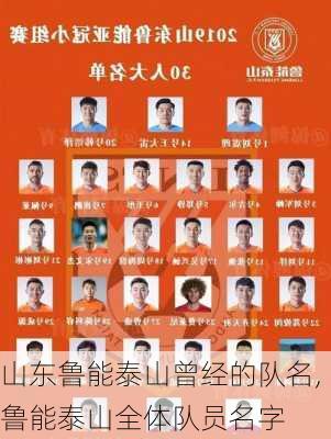 山东鲁能泰山曾经的队名,鲁能泰山全体队员名字