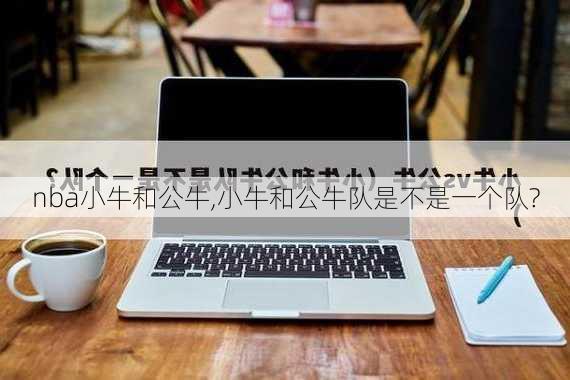nba小牛和公牛,小牛和公牛队是不是一个队?