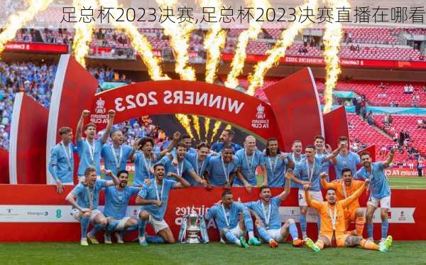 足总杯2023决赛,足总杯2023决赛直播在哪看