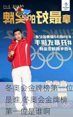 冬奥会金牌榜第一位是谁,冬奥会金牌榜第一位是谁啊