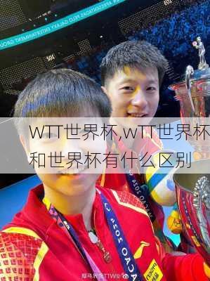WTT世界杯,wTT世界杯和世界杯有什么区别
