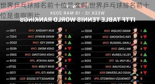 世界乒乓球排名前十位是谁啊,世界乒乓球排名前十位是谁啊图片