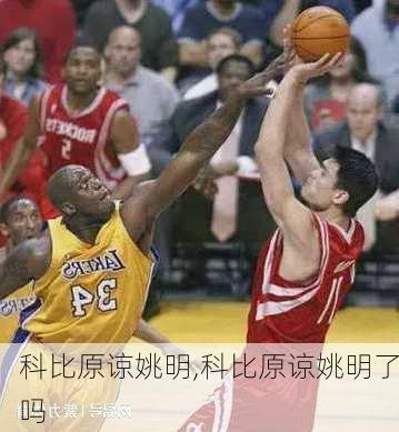 科比原谅姚明,科比原谅姚明了吗