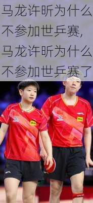 马龙许昕为什么不参加世乒赛,马龙许昕为什么不参加世乒赛了