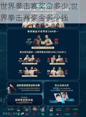 世界拳击赛奖金多少,世界拳击赛奖金多少钱