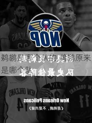 鹈鹕是哪个队的,鹈鹕原来是哪个队