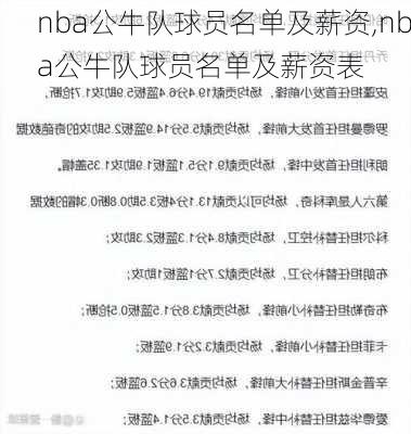 nba公牛队球员名单及薪资,nba公牛队球员名单及薪资表