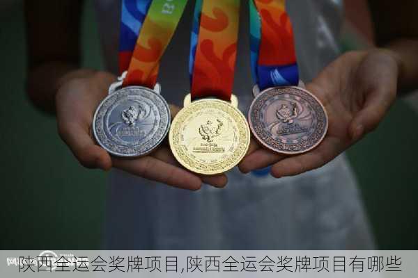 陕西全运会奖牌项目,陕西全运会奖牌项目有哪些