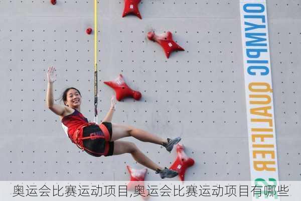 奥运会比赛运动项目,奥运会比赛运动项目有哪些