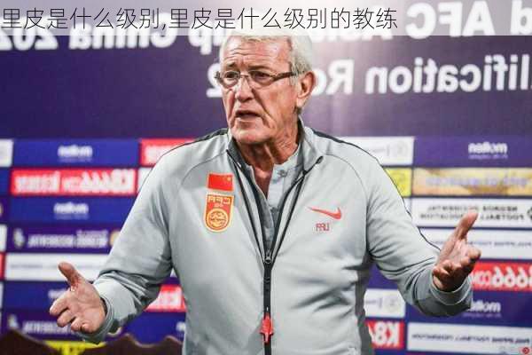 里皮是什么级别,里皮是什么级别的教练