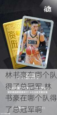 林书豪在哪个队得了总冠军,林书豪在哪个队得了总冠军啊