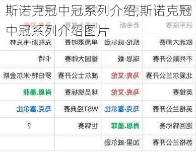 斯诺克冠中冠系列介绍,斯诺克冠中冠系列介绍图片