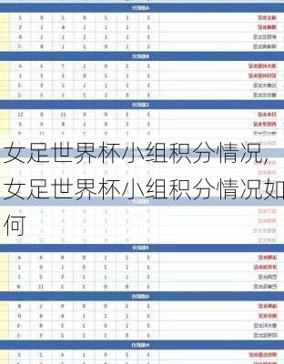 女足世界杯小组积分情况,女足世界杯小组积分情况如何