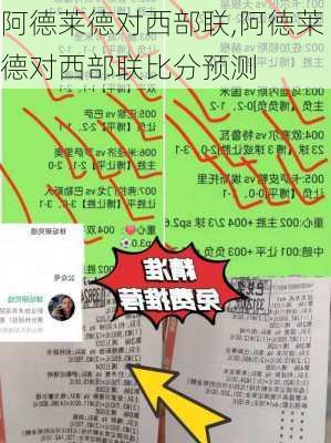 阿德莱德对西部联,阿德莱德对西部联比分预测