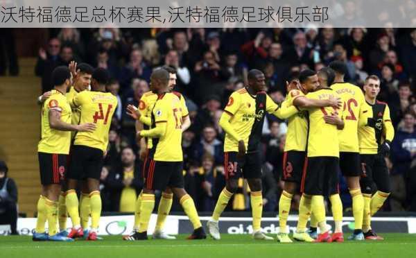 沃特福德足总杯赛果,沃特福德足球俱乐部