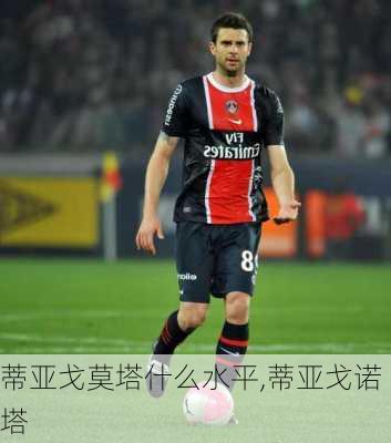 蒂亚戈莫塔什么水平,蒂亚戈诺塔