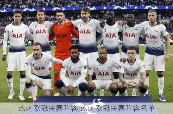 热刺欧冠决赛阵容,热刺欧冠决赛阵容名单