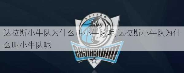 达拉斯小牛队为什么叫小牛队呢,达拉斯小牛队为什么叫小牛队呢