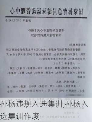 孙杨违规入选集训,孙杨入选集训作废