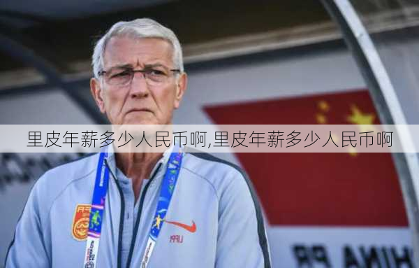 里皮年薪多少人民币啊,里皮年薪多少人民币啊