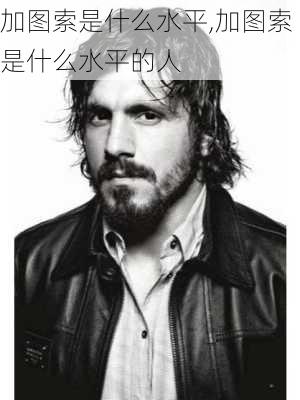 加图索是什么水平,加图索是什么水平的人