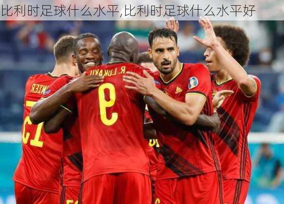 比利时足球什么水平,比利时足球什么水平好