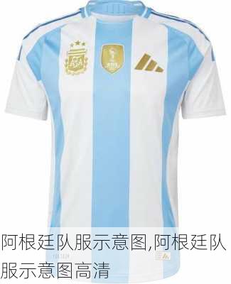 阿根廷队服示意图,阿根廷队服示意图高清
