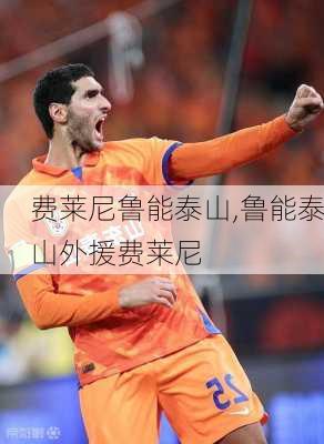 费莱尼鲁能泰山,鲁能泰山外援费莱尼