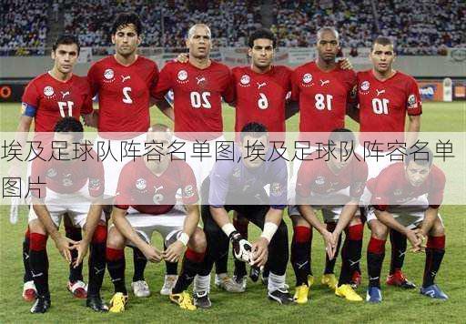 埃及足球队阵容名单图,埃及足球队阵容名单图片